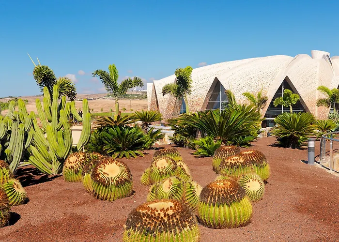 H10 Playa Horizons Collection Hotel