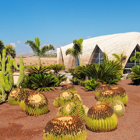 H10 Playa Horizons Collection 호텔